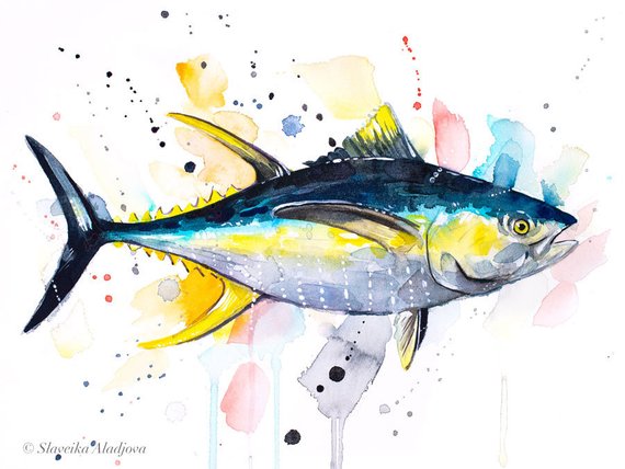570x428 Yellowfin Tuna Watercolor Painting Print By Slaveika Aladjova Etsy