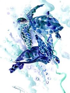 236x314 Watercolor Fish Paintings Tuna Watercolor Painting Watercolor