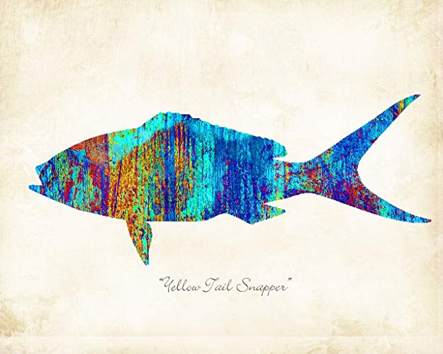 625x500 Yellow Tail Snapper Tuna Fish Watercolor Art Print By