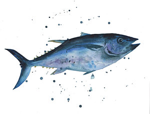 300x229 Blue Flash Tuna Painting By Alison Fennell