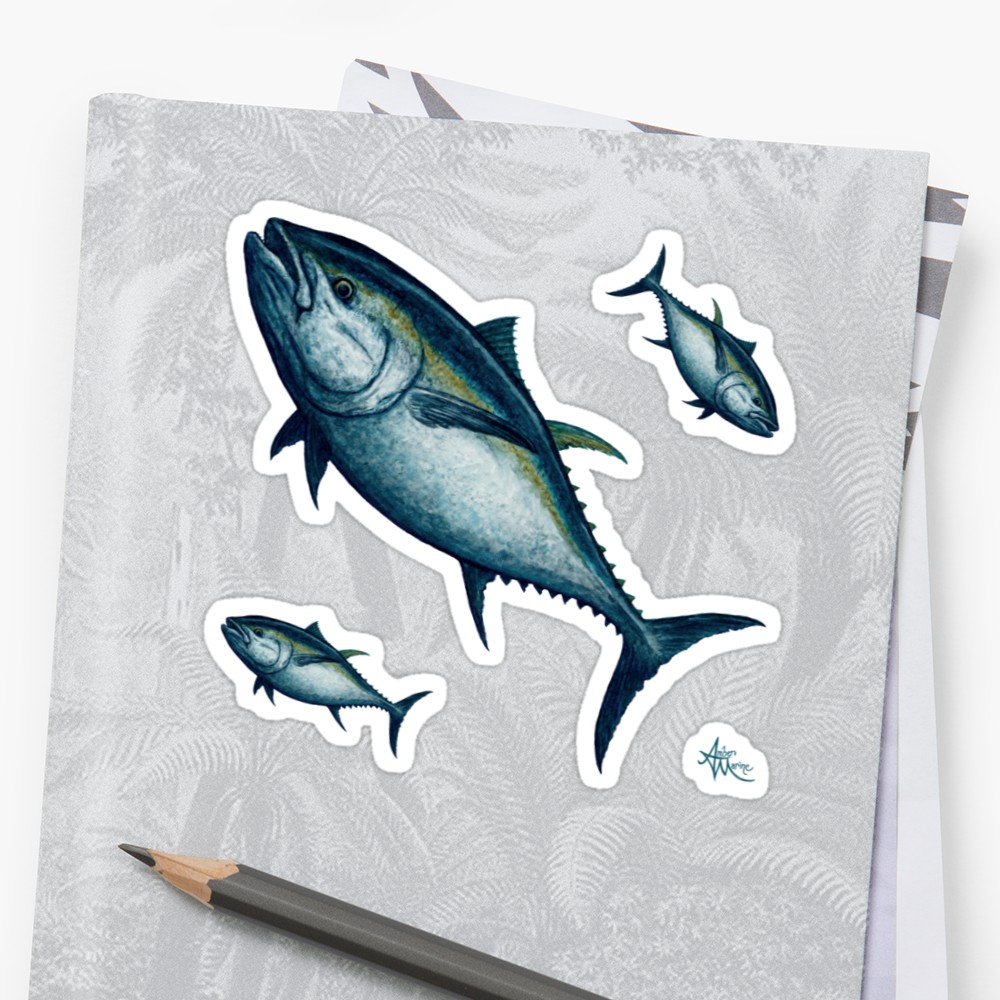 1000x1000 Bluefin Tuna By Amber Marine ~ Watercolor Painting, Art 2016
