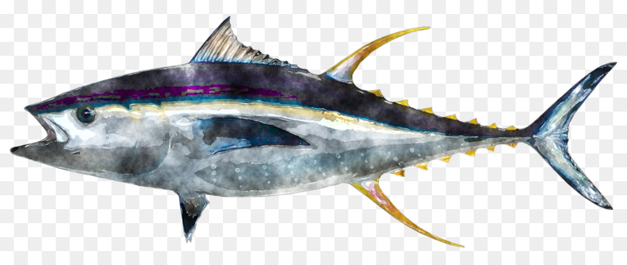 900x380 Download Yellowfin Tuna Food Fishing Clip Art Colorful Leaves