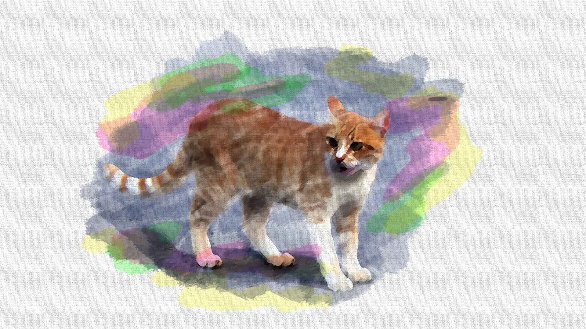 1920x1080 Turn Any Photo Into A Watercolor Painting Photoshop Cc