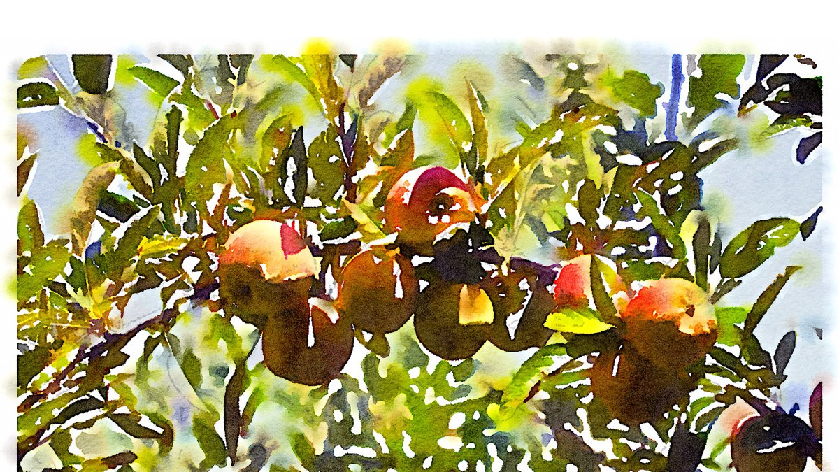 1200x675 Turn Your Iphone Pics Into Watercolor Masterpieces With This Smart