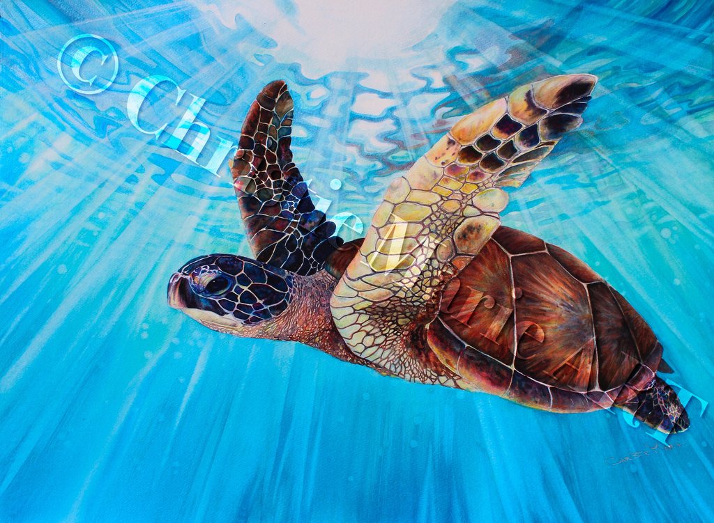 1024x751 Original Hawaiian Sea Turtle Art Watercolor Painting Gemstone
