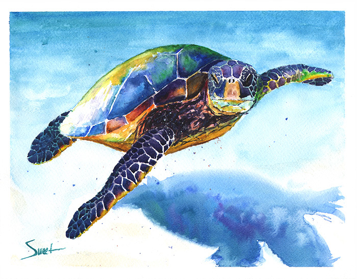 700x548 Sea Turtle Watercolor Print 2 Watercolor Animal Paintings