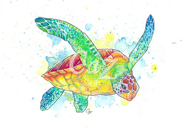 637x451 Green Turtle Watercolour Painting By Cazziart