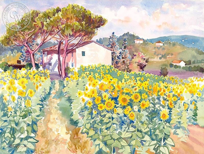 800x603 Sunflowers In Tuscany, Art By Glen Knowles California Watercolor