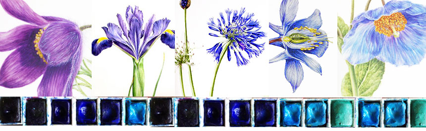 860x266 Dianne Sutherland About Watercolour Paint