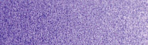 500x152 Winsor Amp Newton 0105672 Artists Watercolor 14ml Ultramarine Violet