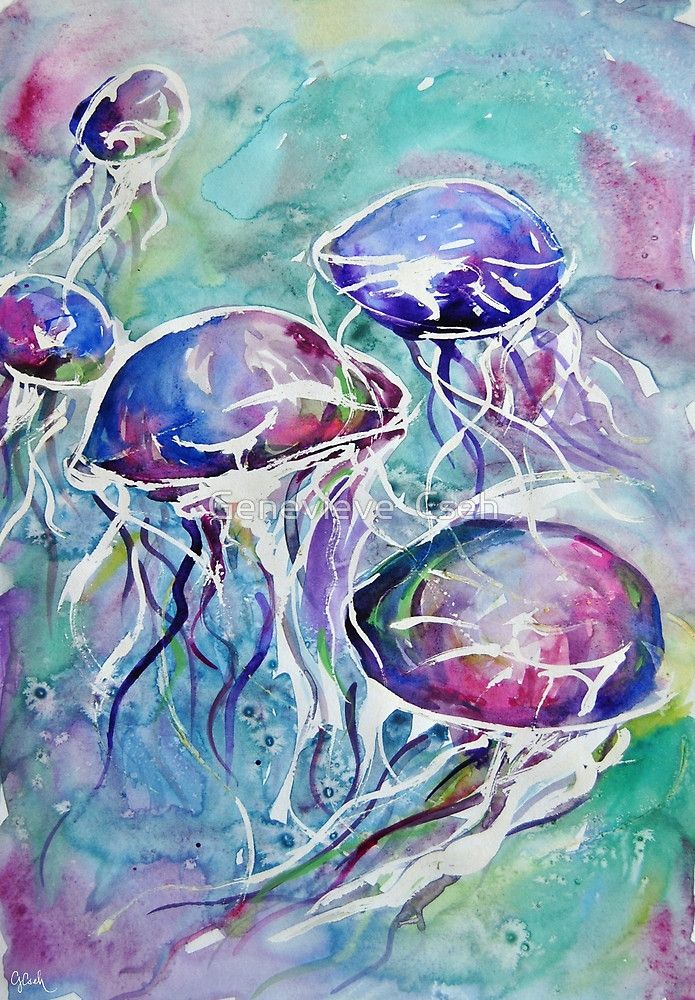 695x1000 Jellyfish