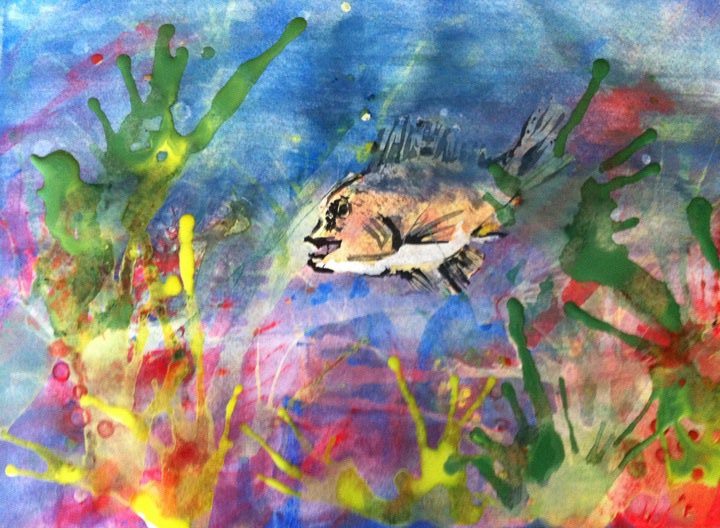 720x528 Underwater Scene