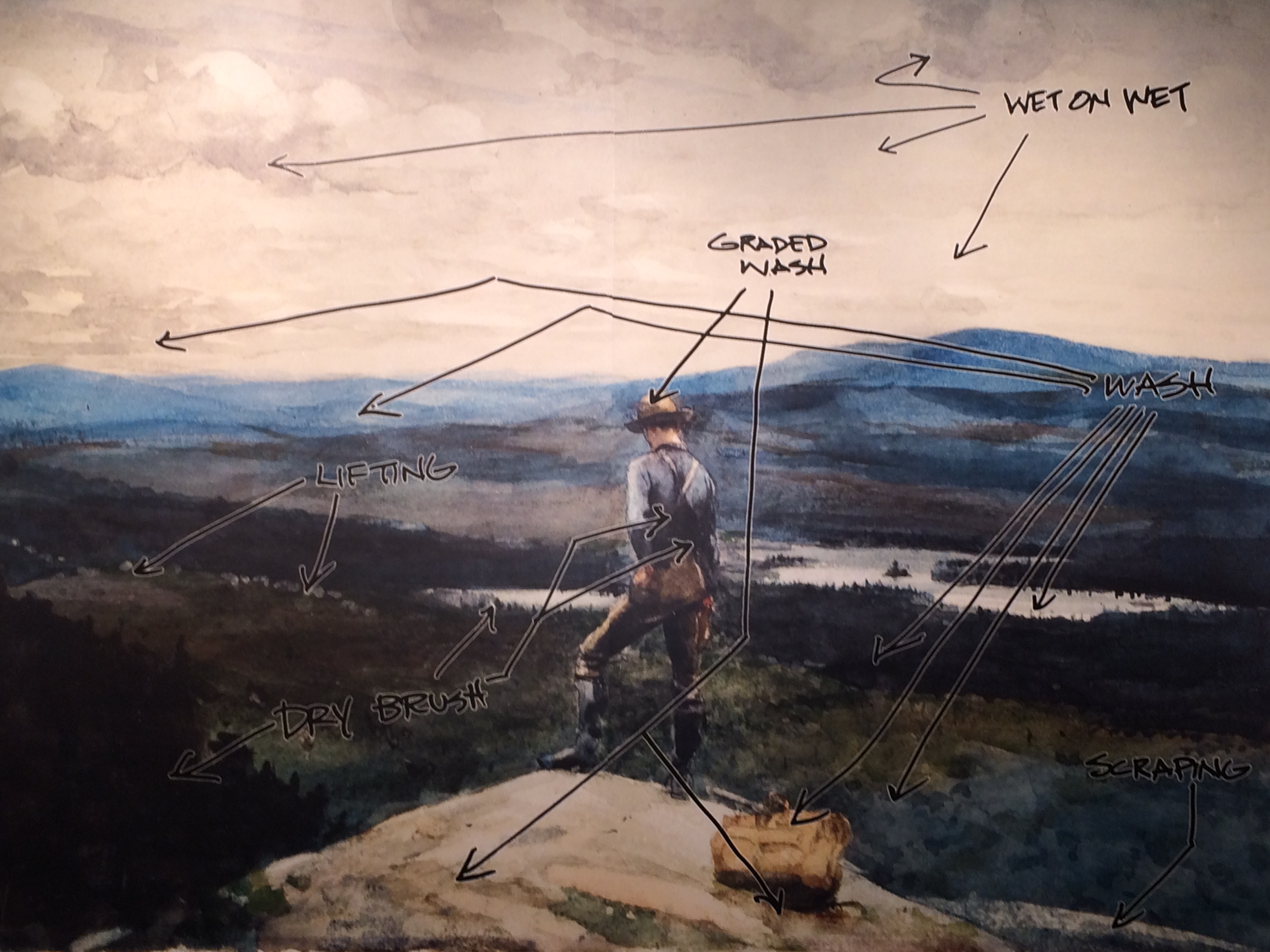 3264x2448 A Fun And Unique Watercolor Exhibition Doma Insider