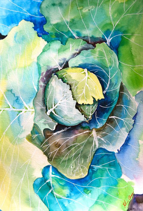 570x838 Watercolor Painting, Original Still Life, Cabbage Painting,