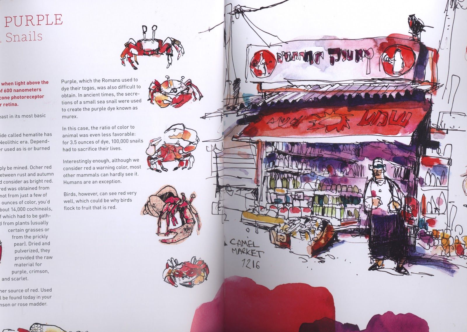 1600x1139 Felix Scheinberger