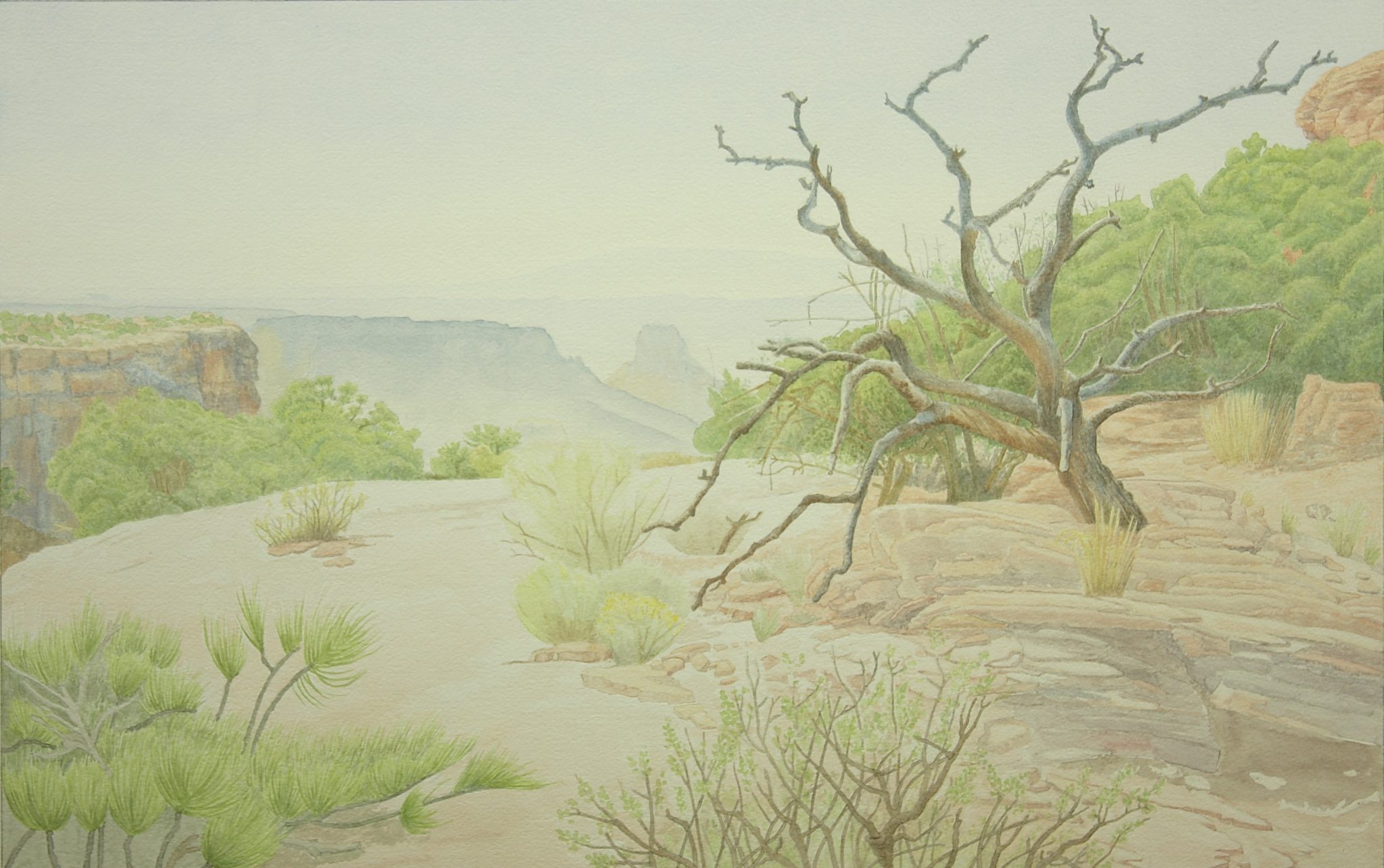2048x1286 Trail To Dead Horse Point Drawing