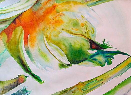 525x382 Vibrant Watercolor Paintings Of Anita Jamieson