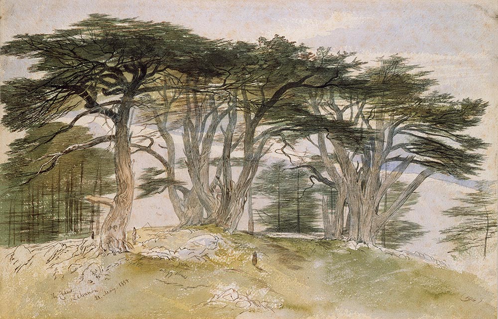 1000x641 British Watercolours 1750 1900 Depicting Trees