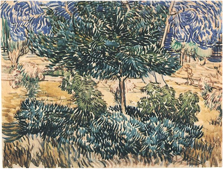 722x549 Trees And Shrubs By Vincent Van Gogh