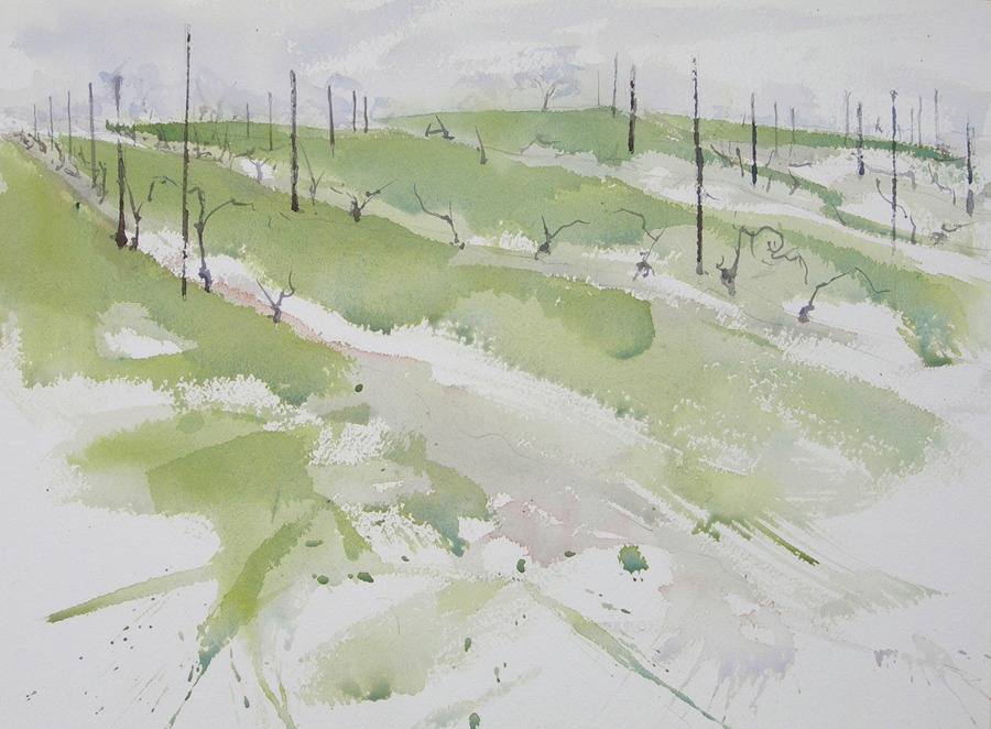 900x662 Old York Cellars Vineyard On A Rainy Day Third Time Around