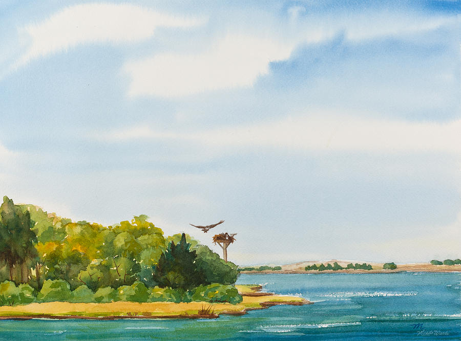 900x665 Ospreys On The Vineyard Watercolor Painting Painting By Michelle