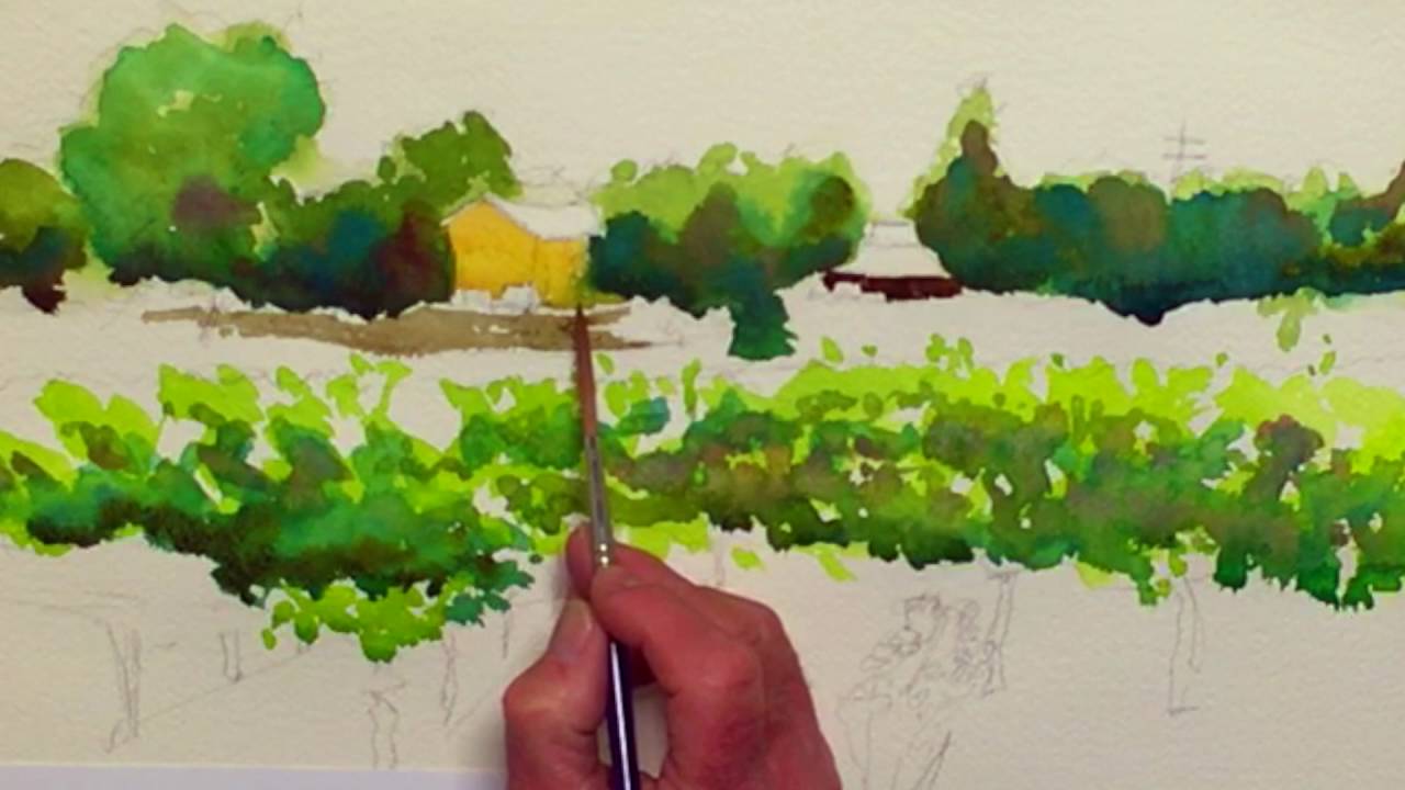 1280x720 The Road To Wine Country A Vineyard Watercolor Landscape