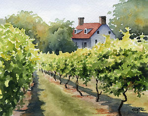 300x236 Vineyard Art Print Watercolor Painting 8 X 10 Signed By Artist Dj