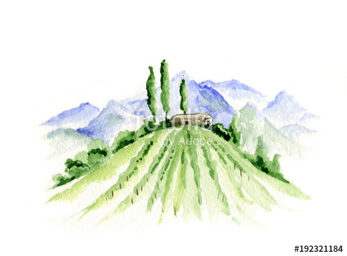 500x369 Abstract Landscape With Vineyard Watercolor Illustration