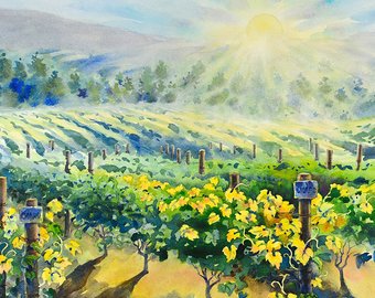 340x270 Vineyard Watercolor Etsy