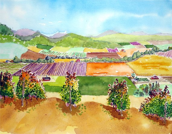 570x444 Vineyard Watercolor Painting Wall Art Sale Nature Home Etsy