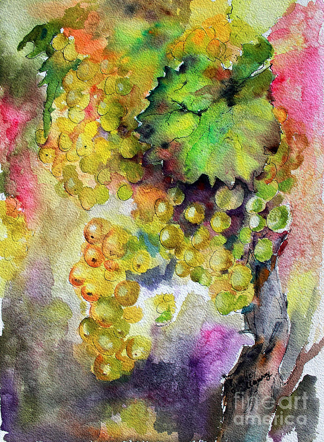 660x900 White Wine Grapes Vineyard Watercolor Painting Painting By Ginette
