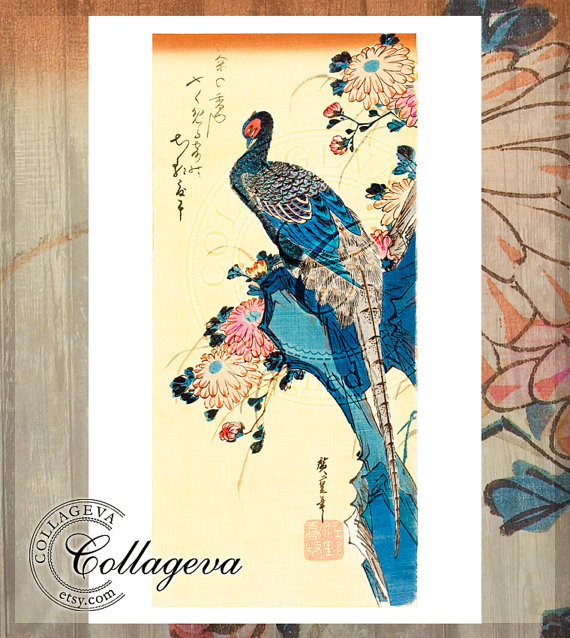 570x638 Japanese Peacock, Flowers, Extra Large Printable Image, Vintage