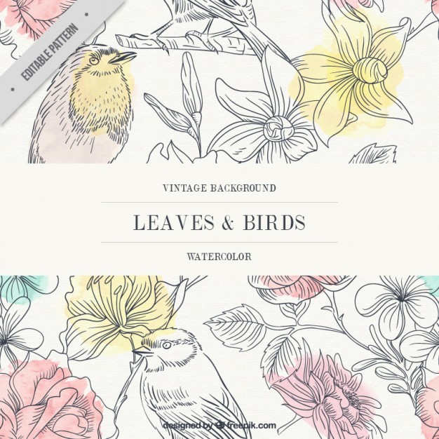 626x626 Vintage Watercolor Leaves And Birds Background Vector Free Download
