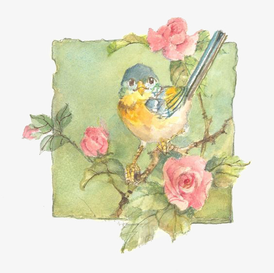 564x562 Vintage Watercolor Flowers, Watercolor Clipart, Flowers