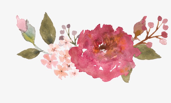 650x392 Vintage Watercolor Pink Flower, Watercolor Clipart, Flower Clipart