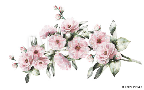 500x313 Vintage Watercolor Flowers. Floral Illustration, Flower In Pastel