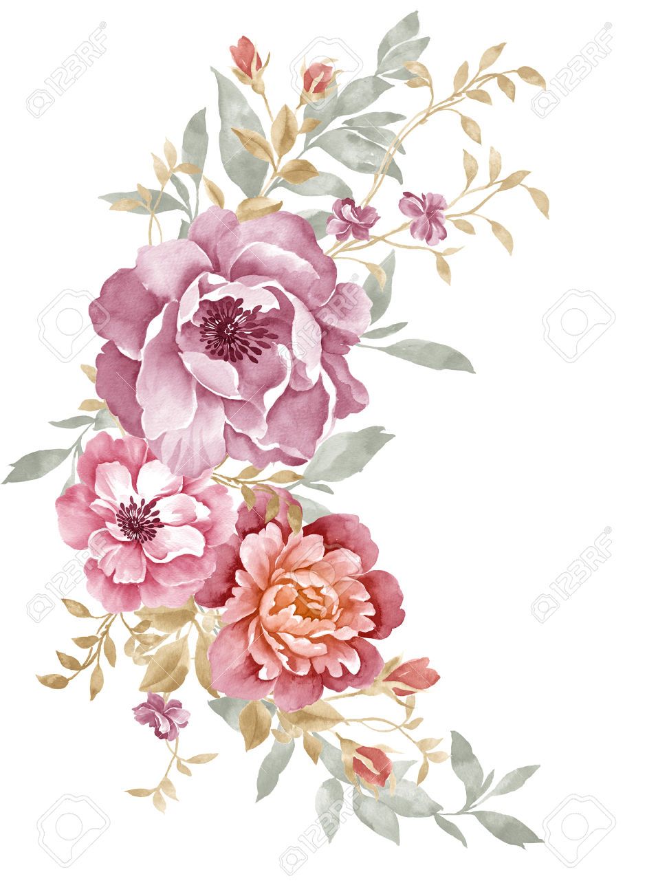 941x1300 Watercolor Illustration Flowers