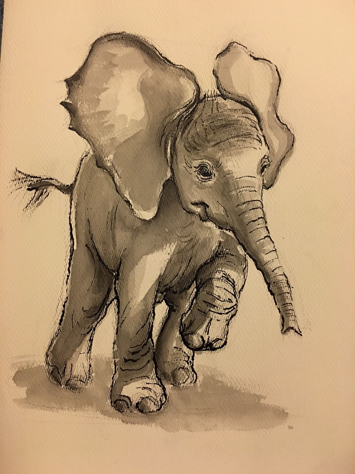 1512x2016 Original Baby Elephant Painting By Rebecca Rees. Ink Wash And Crow