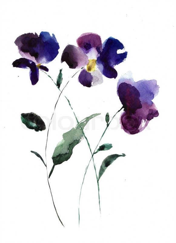 581x800 Watercolor Illustration Of Violet Flowers Stock Photo Colourbox