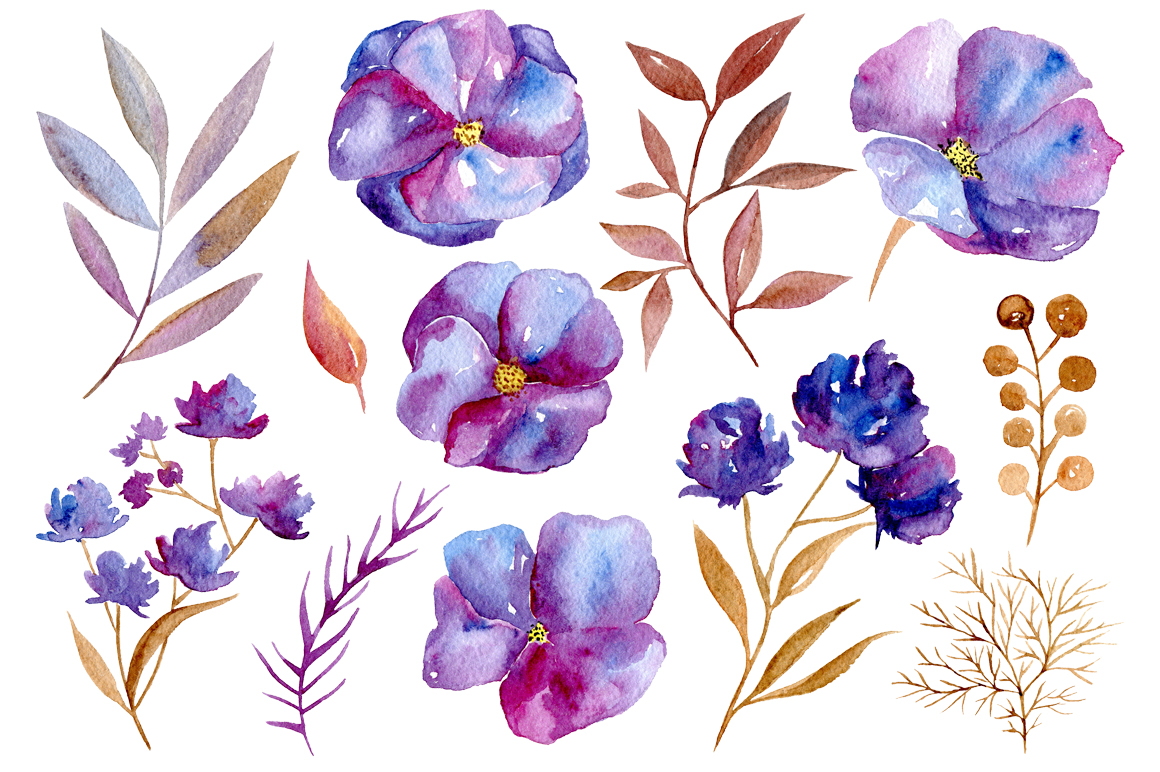 1160x772 Watercolor Violet Flowers, 32 Png