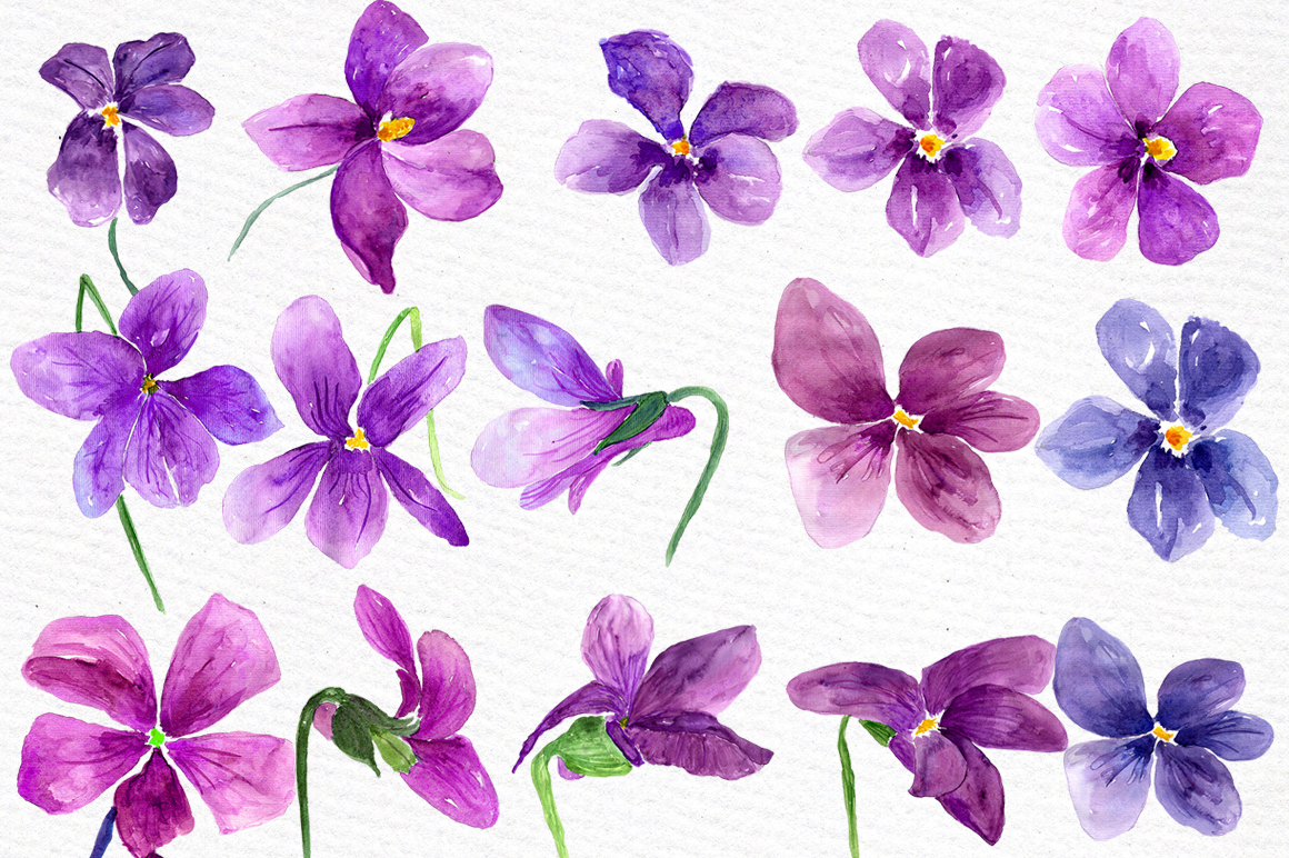1160x772 Watercolor Violet Flowers Clipart By Lecoqdesign