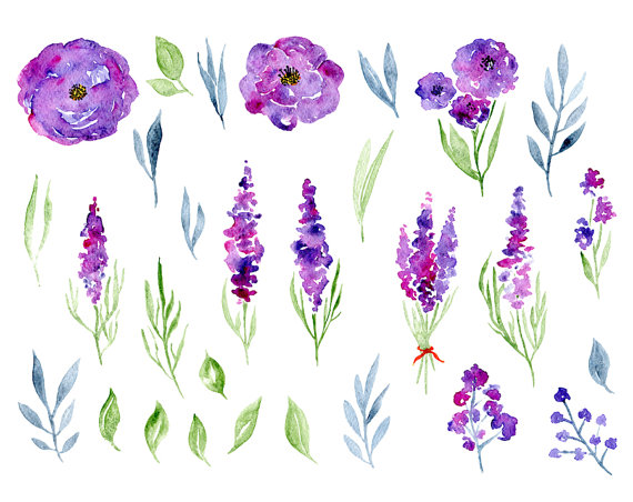 570x452 Watercolor Floral Clipart 29 Purple Violet Flowers Aquarelle