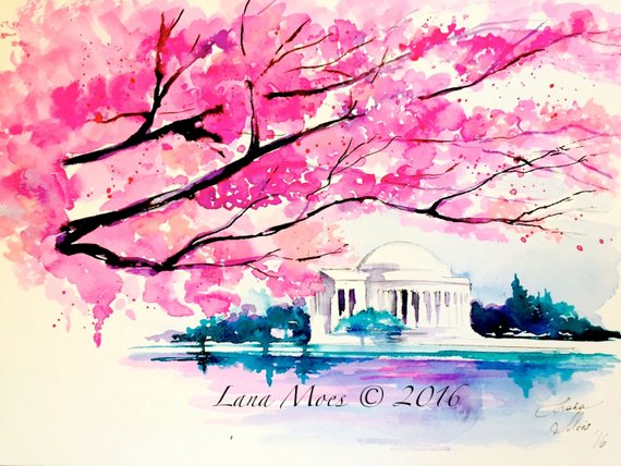 570x428 Cherry Blossoms In Washington Dc Watercolor Travel Etsy