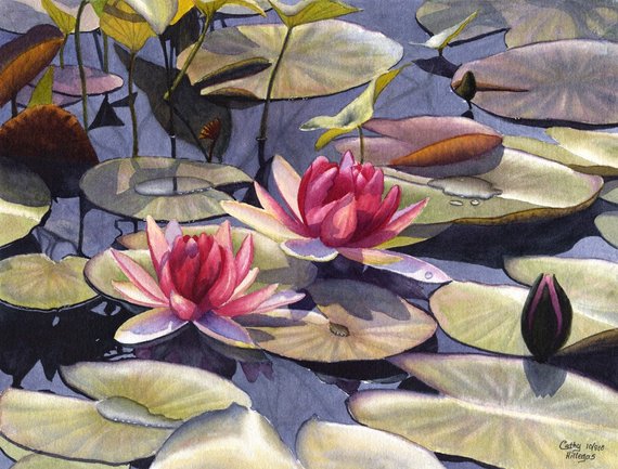 570x433 Water Lily Art Watercolor Painting Print By Cathy Etsy