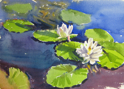 400x286 Water Lilies