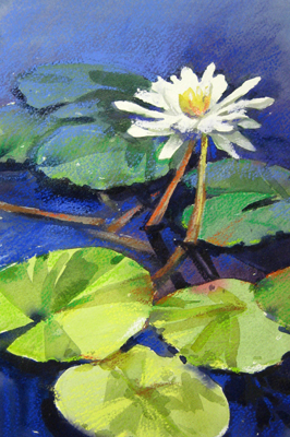 266x400 Water Lily Blues