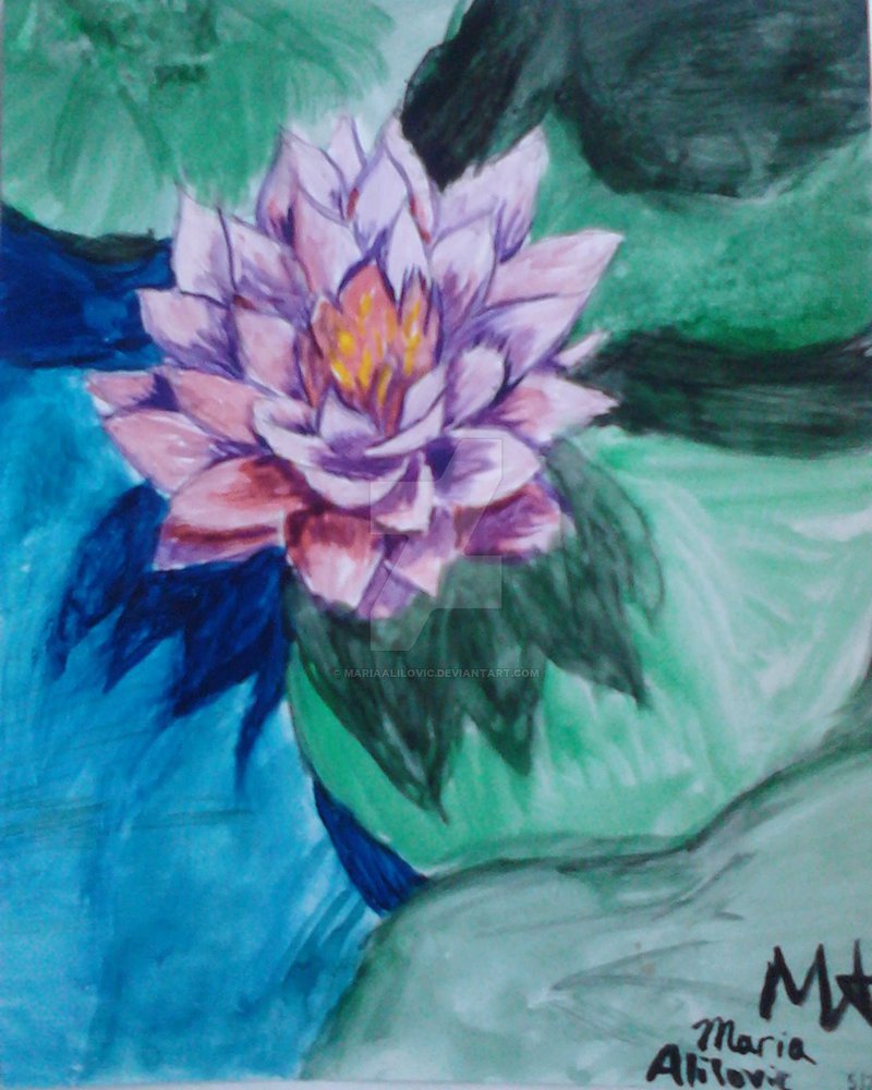 800x1000 Water Lily Watercolor Painting By Mariaalilovic