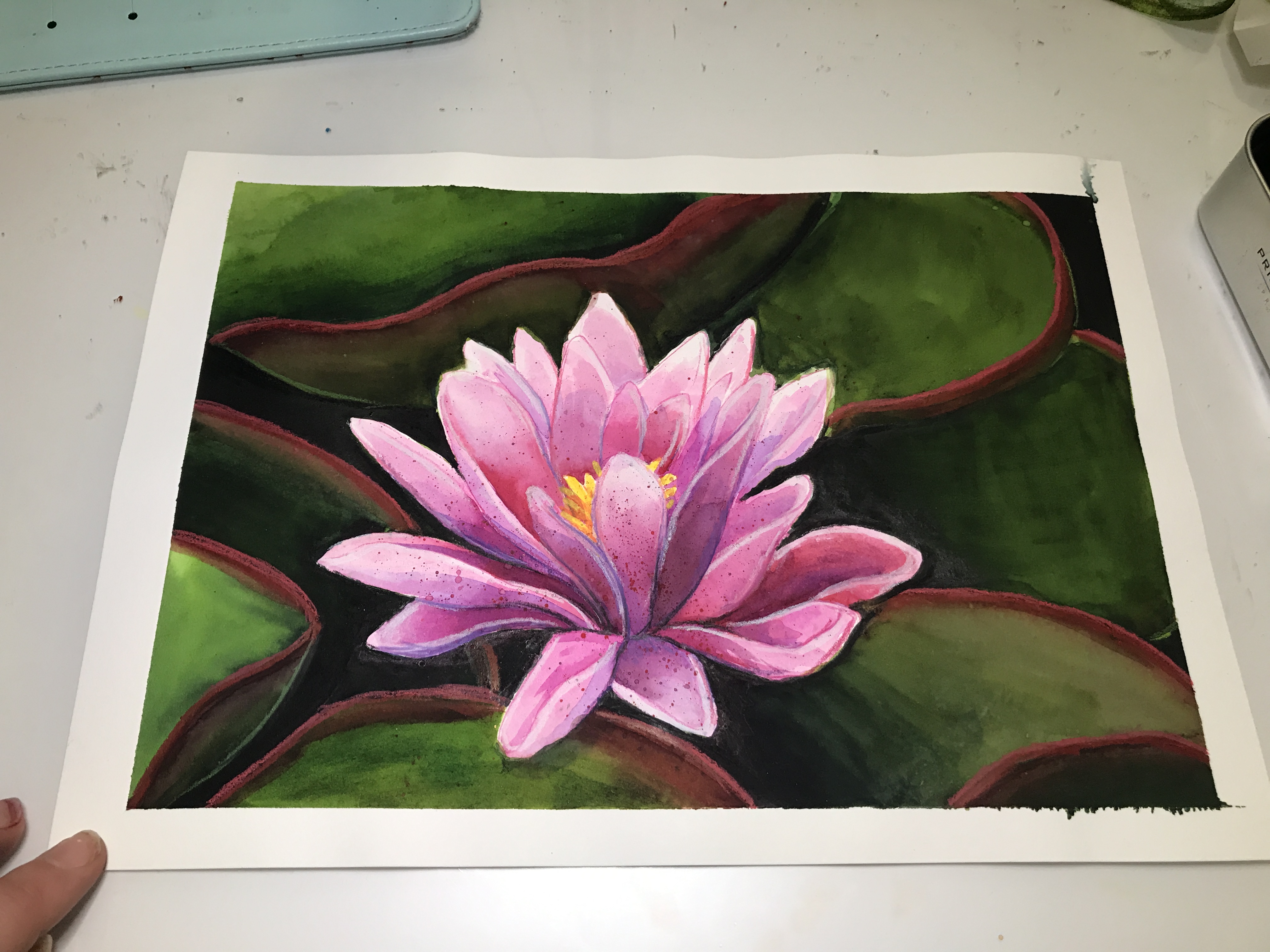 4032x3024 Waterlily Watercolor Painting By Scribblefix On Newgrounds