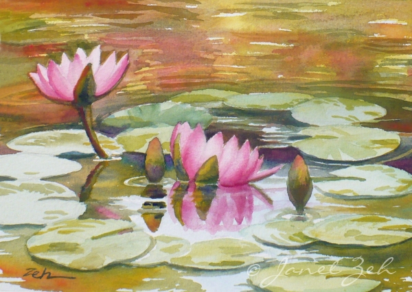 600x426 Zeh Original Art Blog Watercolor And Oil Paintings Waterlilies