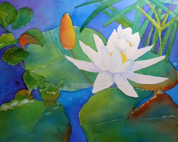 570x456 Water Lily Watercolor Waterlily Painting White Etsy